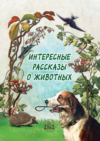 Н. Рудакова, Интересные рассказы о животных