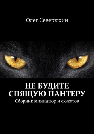 Олег Северюхин, Не будите спящую пантеру
