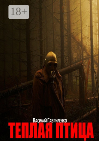 Теплая Птица Василий Гавриленко, Теплая Птица