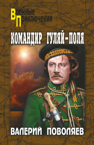 Валерий Поволяев, Командир Гуляй-Поля