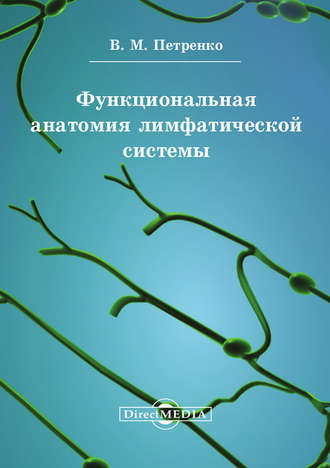 Валерий Петренко, Функциональная анатомия лимфатической cистемы