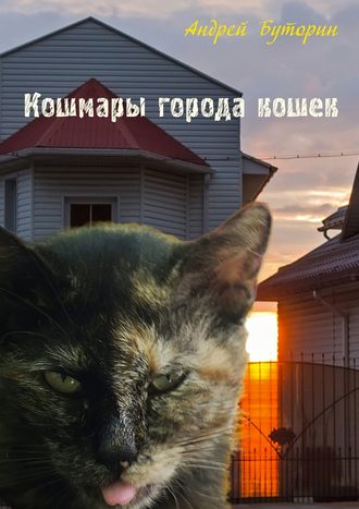Андрей Буторин, Кошмары города кошек