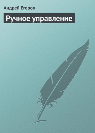 Андрей Егоров, Ручное управление