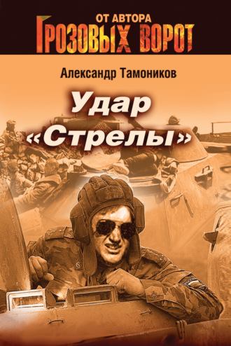 Александр Тамоников, Удар «Стрелы»