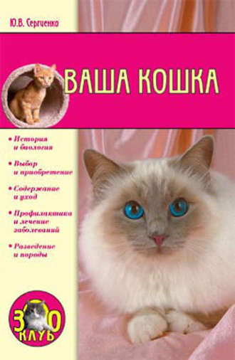 Юлия Сергеенко, Ваша кошка