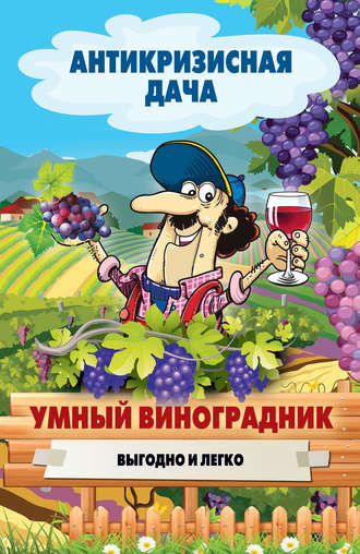 Сергей Кашин, Умный виноградник. Выгодно и легко