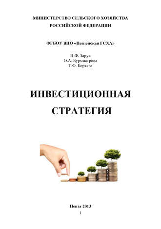 Ольга Бурмистрова, Наталья Зарук, Татьяна Боряева, Инвестиционная стратегия