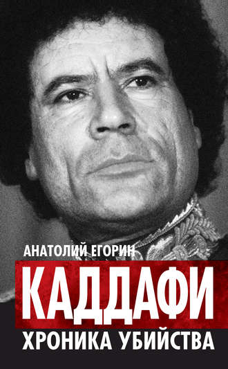 Анатолий Егорин, Каддафи. Хроника убийства