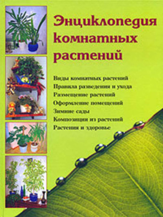 Наталья Логачева, Наталья Шешко, Энциклопедия комнатных растений