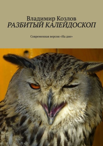 Владимир Козлов, Разбитый калейдоскоп. Современная версия «На дне»