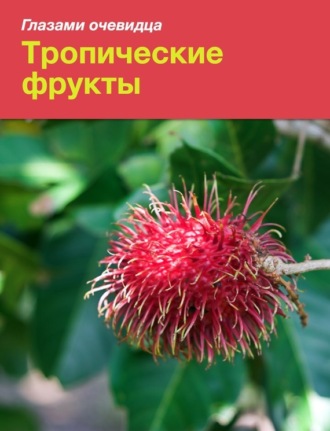 Сергей Серебряков, Екатерина Пугачёва, Тропические фрукты