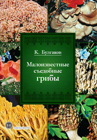 Касим Булгаков, Малоизвестные съедобные грибы