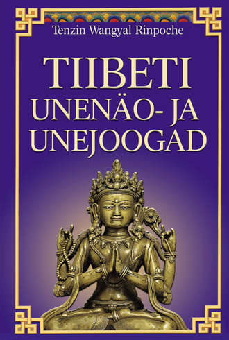Rinpoche Tenzin, Tiibeti unenäo- ja unejoogad