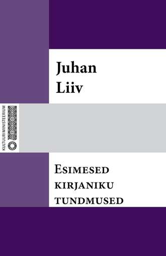 Juhan Liiv, Esimesed kirjaniku tundmused