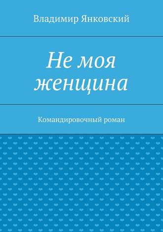 Владимир Янковский, Не моя женщина. Командировочный роман