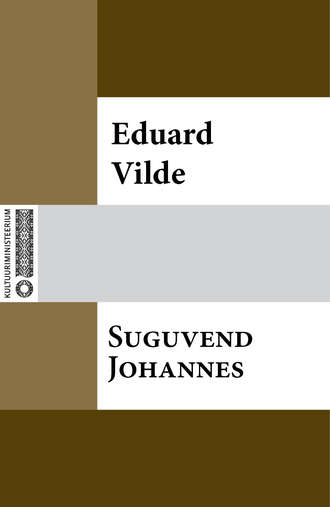 Eduard Vilde, Suguvend Johannes
