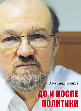 Александр Щипков, До и после политики