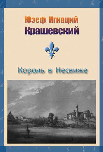 Юзеф Крашевский, Король в Несвиже (сборник)