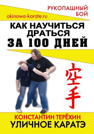 Константин Терёхин, Уличное каратэ. Как научиться драться за 100 дней