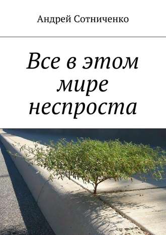 Андрей Сотниченко, Все в этом мире неспроста