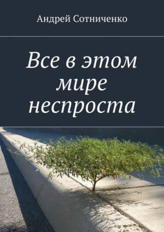 Андрей Cотниченко, Все в этом мире неспроста