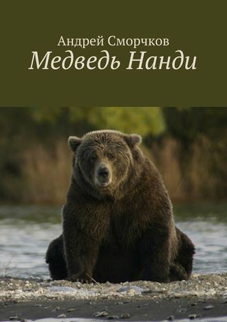 Андрей Сморчков, Медведь Нанди
