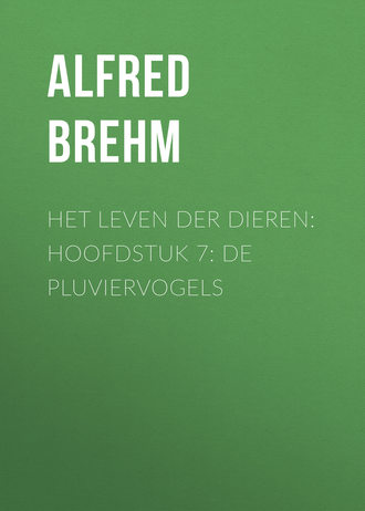 Alfred Brehm, Het Leven der Dieren: Hoofdstuk 7: De Pluviervogels