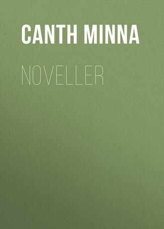 Minna Canth, Noveller