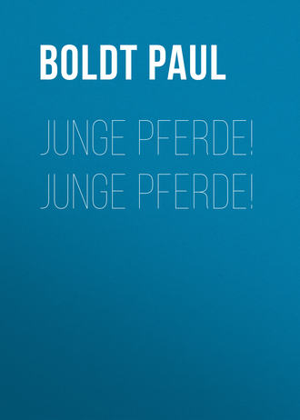 Paul Boldt, Junge Pferde! Junge Pferde!