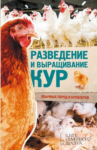 Юрий Пернатьев, Разведение и выращивание кур обычных пород и бройлеров