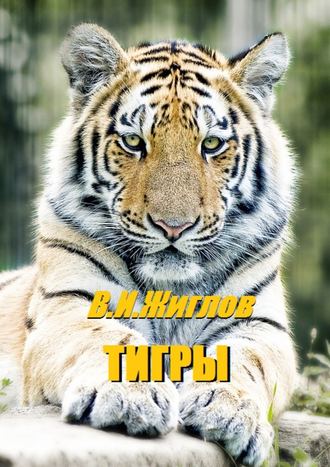 В. Жиглов, Тигры