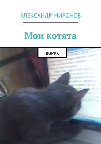 Александр Миронов, Мои котята. Дымка