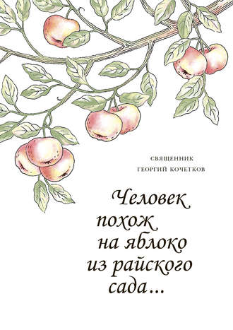 Георгий Кочетков, Человек похож на яблоко из райского сада…