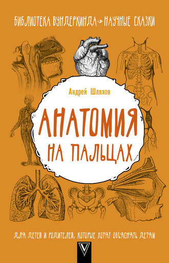 Андрей Шляхов, Анатомия на пальцах. Для детей и родителей, которые хотят объяснять детям