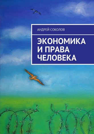 Андрей Соколов, Экономика и права человека