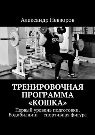 Александр Невзоров, Тренировочная программа «Кошка». Первый уровень подготовки. Бодибилдинг – спортивная фигура