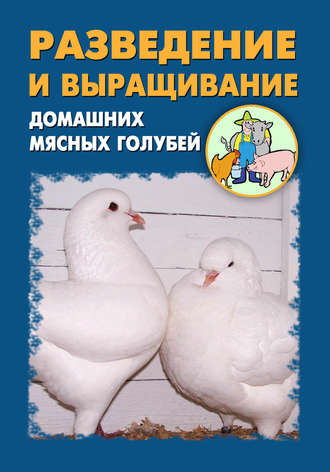 Илья Мельников, Александр Ханников, Разведение и выращивание домашних мясных голубей