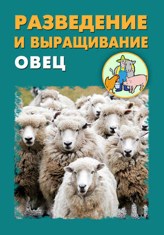 Илья Мельников, Александр Ханников, Разведение и выращивание овец