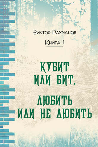 Виктор Рахманов, Кубит или бит, Любить или не любить. Книга 1