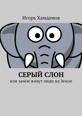 Игорь Хамдамов, Серый слон. Или зачем живут люди на Земле