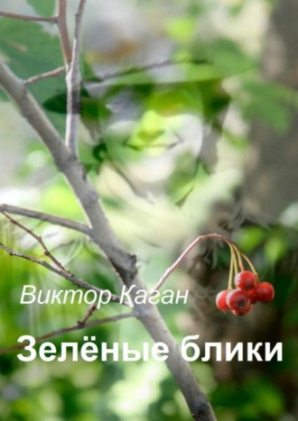 Виктор Каган, Зелёные блики