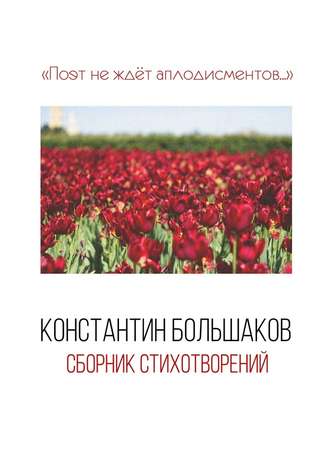 Константин Большаков, Поэт не ждёт аплодисментов… Сборник стихотворений