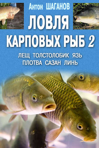 Антон Шаганов, Ловля карповых рыб – 2