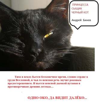 Андрей Бинев, Принцесса, сыщик и черный кот
