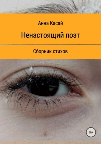 Анна Касай, Ненастоящий поэт