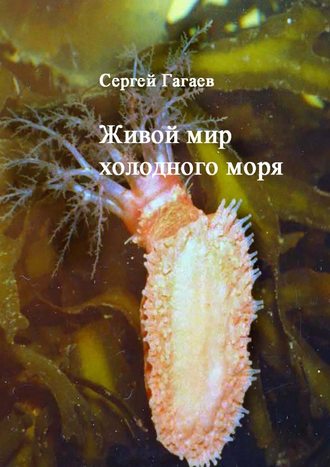 Сергей Гагаев, Живой мир холодного моря
