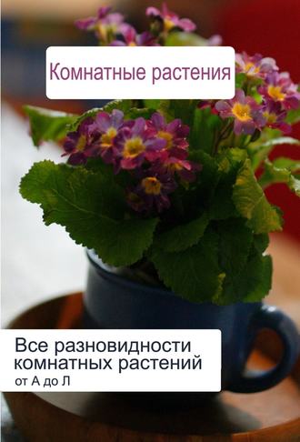 Илья Мельников, Все разновидности комнатных растений (от А до Л)