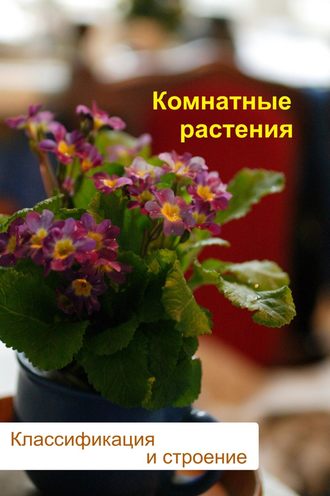 Илья Мельников, Комнатные растения. Классификация и строение