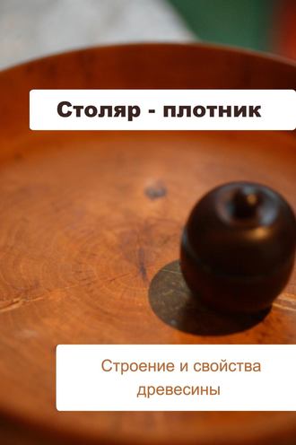 Илья Мельников, Столяр-плотник. Строение и свойства древесины