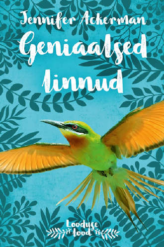 Jennifer Ackerman, Geniaalsed linnud
